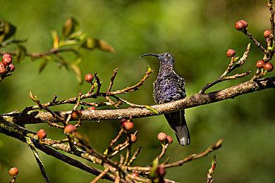 《心灵杀手2》发布官方真人音乐视频《黑暗先驱》